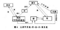 什么是低碳經(jīng)濟